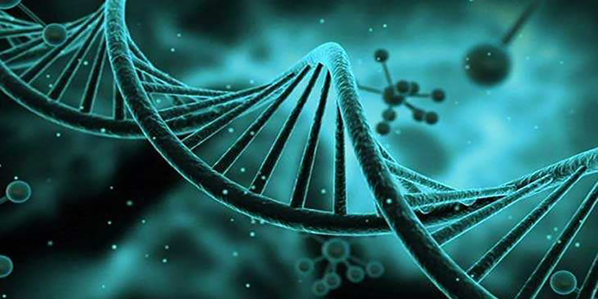 赴美生子利与弊