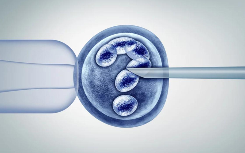 赴美生子自助指南