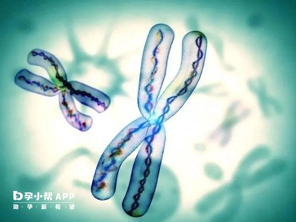 赴美生子流程详解与风险评估