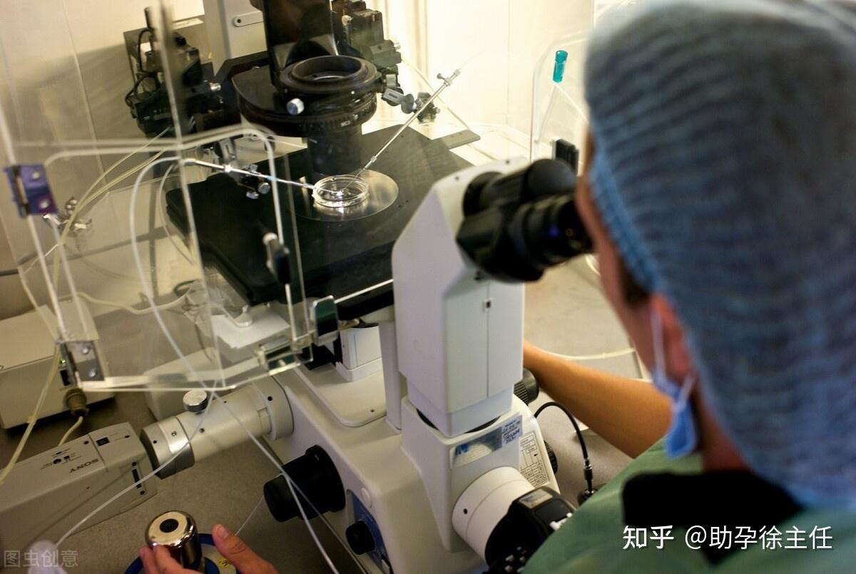 赴美生子月子中心排名