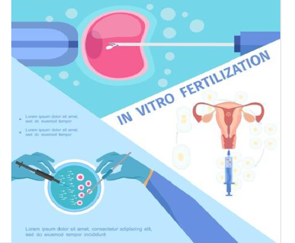 赴美国生孩子价格趋势分析报告