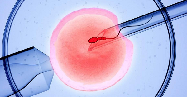 赴美生子机构服务质量评估指标体系研究