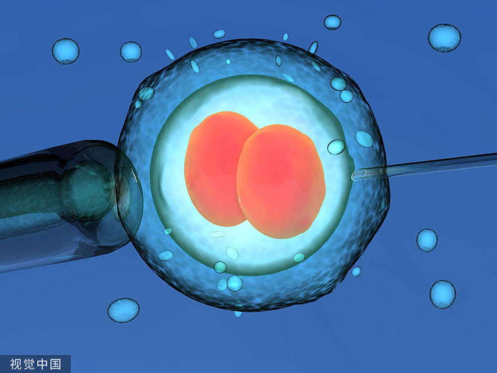 贵阳地区人类辅助生殖技术应用现状分析