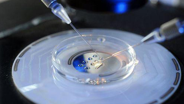 费用试管婴儿技术